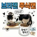 (주)아로펫 | 고양이 주식캔 깨끗한 뉴질랜드산 브리젠 습식캔으로 영양과 음수량 동시에