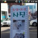 명품사진관 이미지