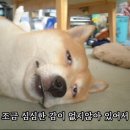 쉼카페 이미지