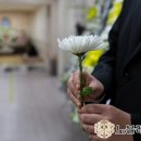 태평서울병원 이미지