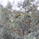 중근농장 이미지