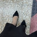 스텔라엔로라 | 스텔라앤로라 30대 여자 구두 추천해요🫶