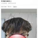헤어갤러리 이미지
