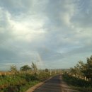 호코농장 이미지