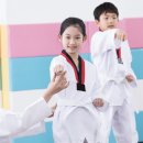선인태권도장 이미지
