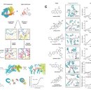 주식회사바이오나노테크놀로지 이미지