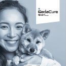 어울동물의료센터 이미지