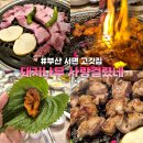 돼지나무 사랑걸렸네 이미지