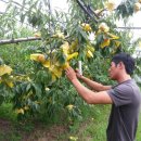 상연농장 이미지