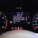 뉴와이즈코리아