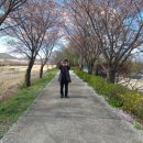 파평면사무소 앞 이미지