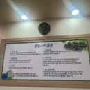 우렁이봉쌈밥 이미지