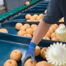 지오농장 이미지