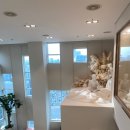 제시카블링 | [결혼준비11] 제시카로렌 촬영드레스 촬영가봉 촬영드레스셀렉 후기 (feat.66예신)