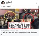 이태원 사고 토끼 머리띠남으로 지목된 남성 인스타 해명글 이미지