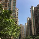 상두심천 이미지