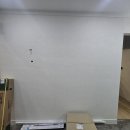 오렌지펫살롱 이미지