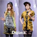 브라운독 이미지