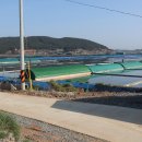 염전경로당 이미지