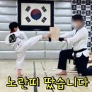 송화태권도 이미지