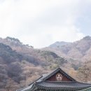 용문사