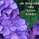 금앤옥통나무팬션 이미지