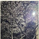 천마태권도장 이미지