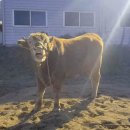 혜린농장 이미지