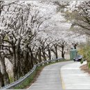 데미샘