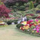 고요산책 이미지