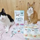 소룡산업 | 고양이사료 7가지 맛과 영양을 동시에 잡은 옵티밀 수입사료 추천