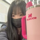 종로/강남 먹부림 일상 🍜 불닭육회냉면 성공 후기(?)