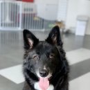 두유 개린이집 이미지