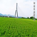 동이대교