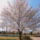 배산로8길 이미지