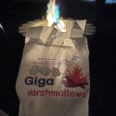 맨드롱 가평 이미지