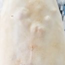 두리종합동물병원 이미지