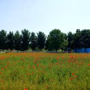 청주목장 이미지