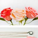 자이언트세탁소 이미지