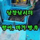 오늘은향어 이미지