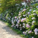 거제도애광원 이미지