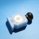 이리드 | 불리 목욕하는 여인, 이리드말트 향수 지속력 단점 후기