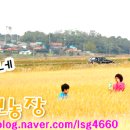 서운농장 이미지