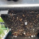 내유목장 이미지