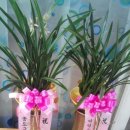 문학당구장 이미지