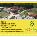 관기초교병설유치원 이미지