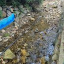 (주)지산농원 이미지