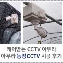 영도농장 이미지