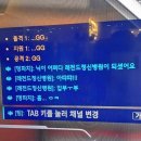 20살3년4개월차기록일지