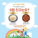 노래하는크레용성북지사 이미지